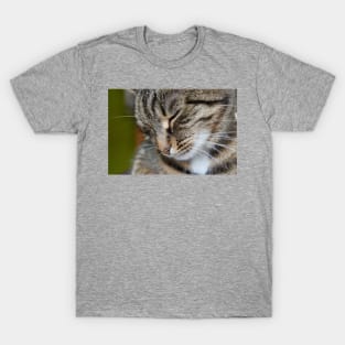 I am a little shy T-Shirt